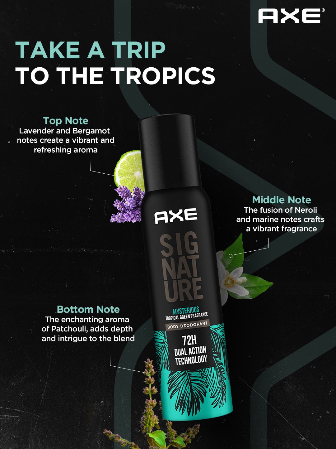 AXE Signature Mysterious Body Perfume 122 ml
