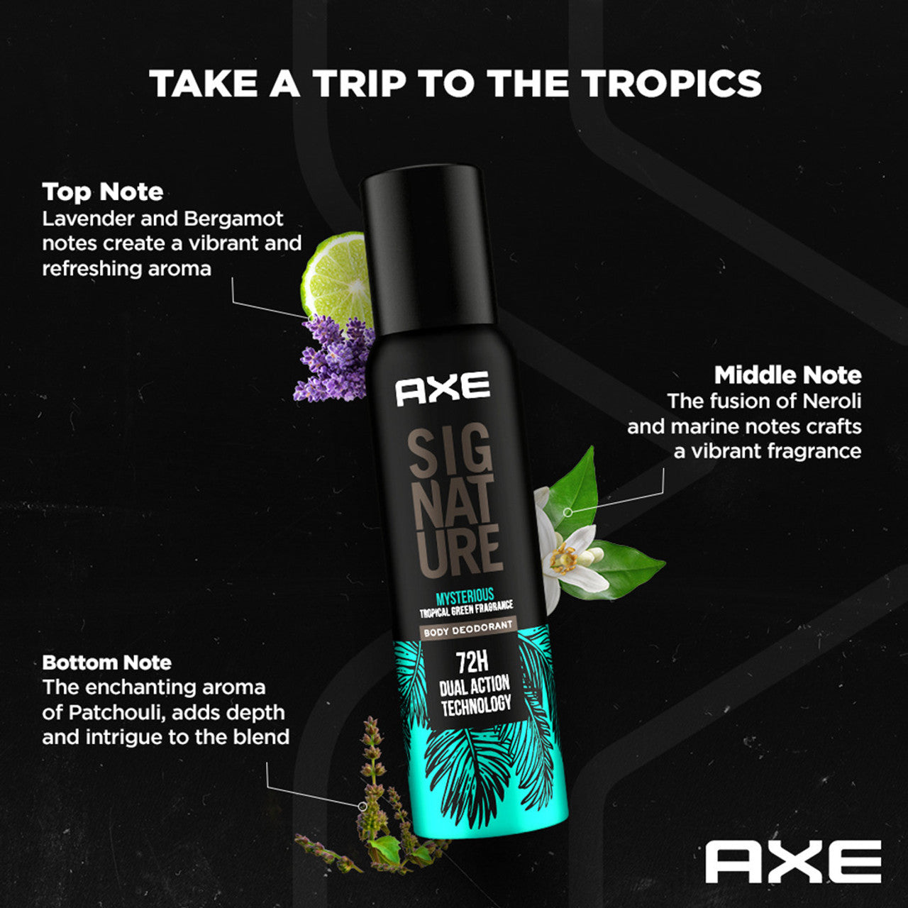 AXE Signature Mysterious and Intense Deodorant No Gas Body Perfume Body Spray - For Men  (200 ml, Pack of 2)