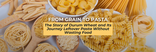 From Grain to Pasta: The Story of Durum Wheat and Its Journey