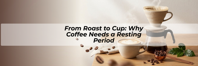 From Roast to Cup: Why Coffee Needs a Resting Period