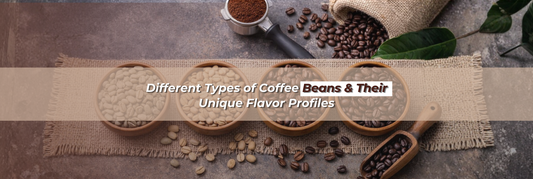 Different Types of Coffee Beans & Their Unique Flavor Profiles