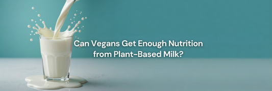 Can Vegans Get Enough Nutrition from Plant-Based Milk?