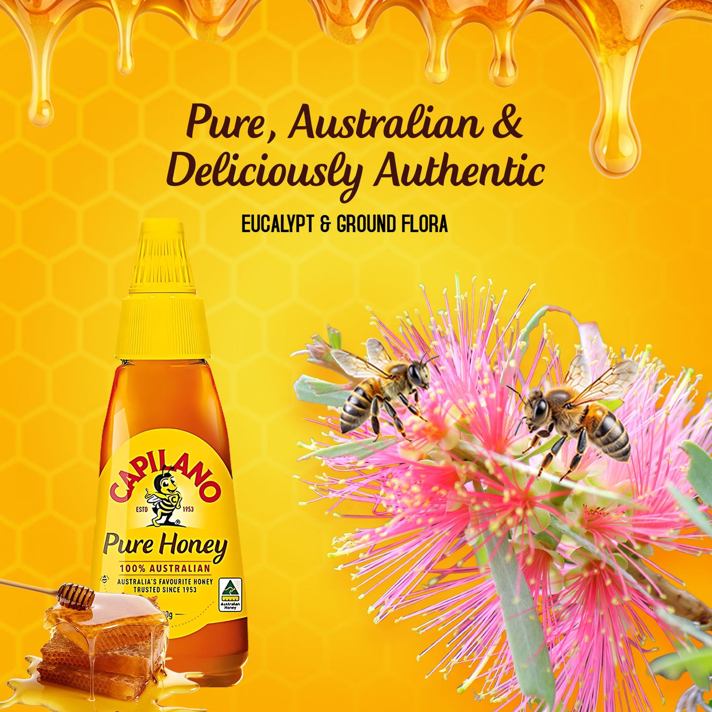 Capilano Pure Honey| No Added Sugar- 220g