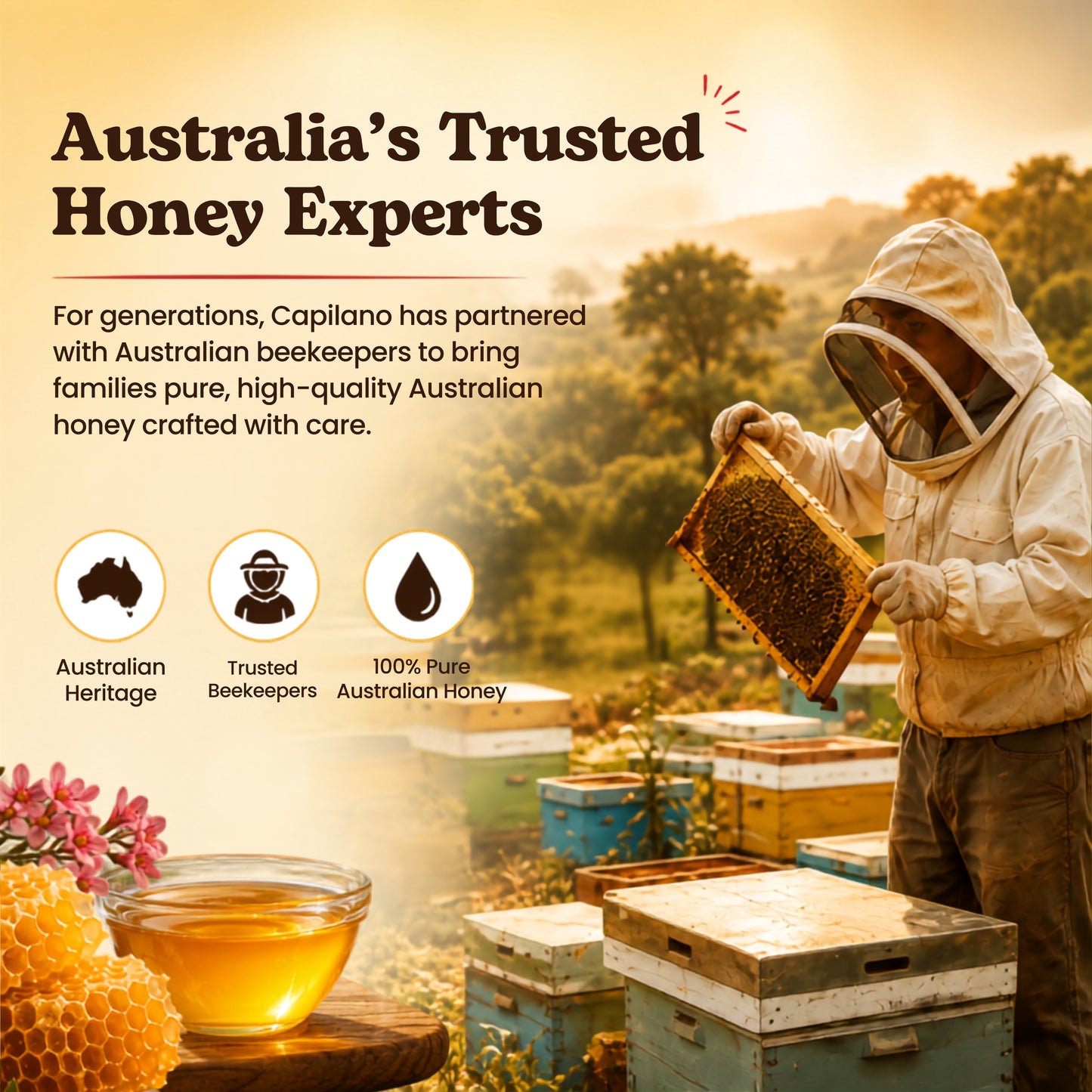 Capilano - Light and Mild Australian Pure Honey (340g)