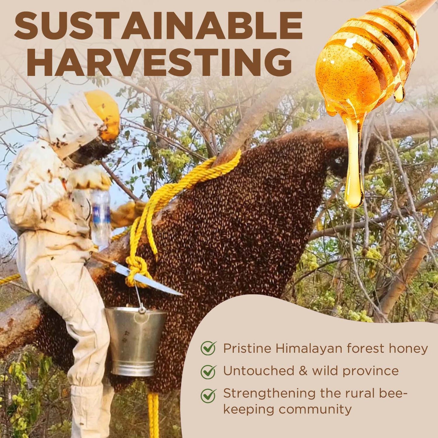 Umanac Organic Honey With Ginger- 250Gm