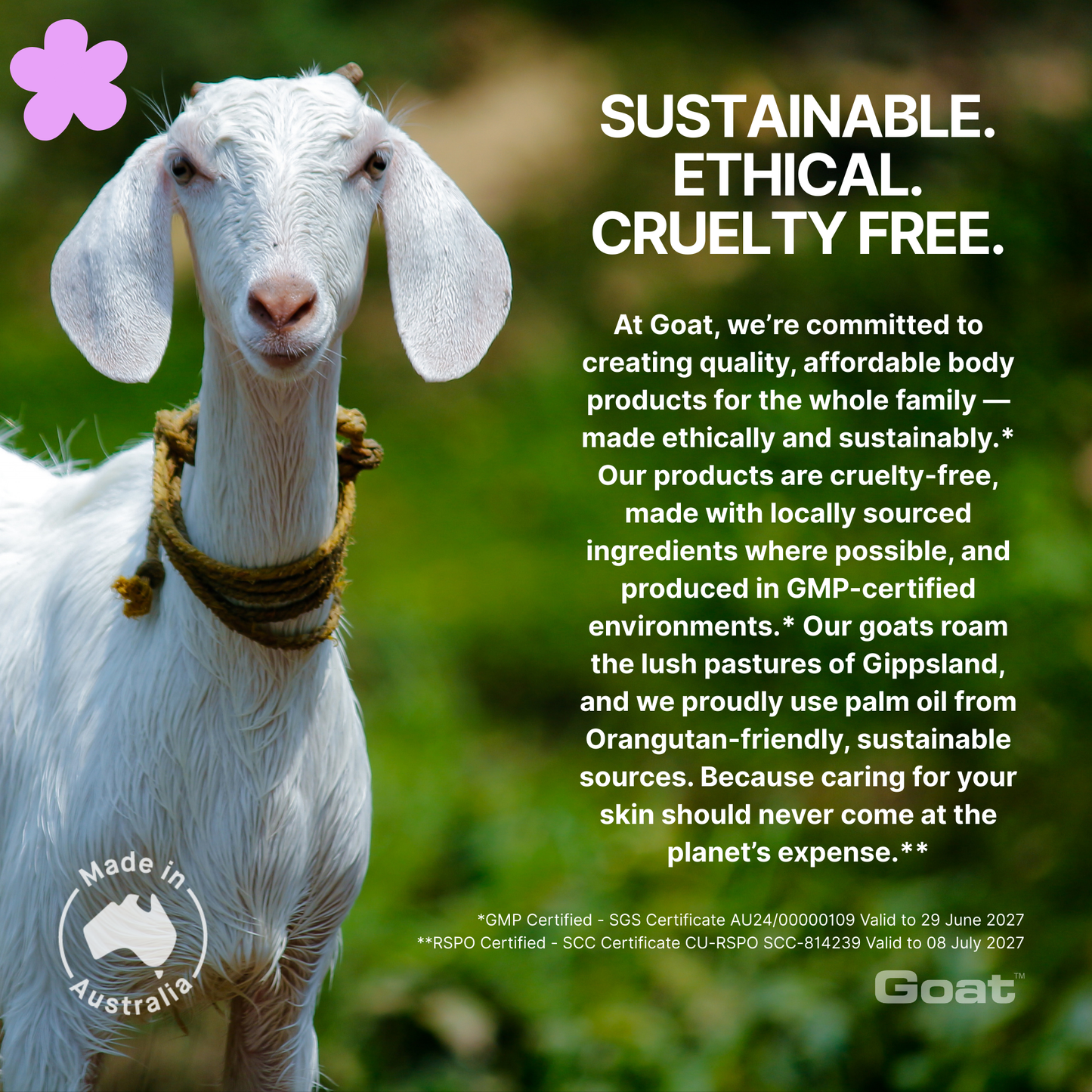 Goat Soap with Argan Oil